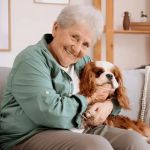 How to Keep Aging Pets Comfortable at Home