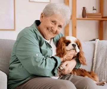 How to Keep Aging Pets Comfortable at Home