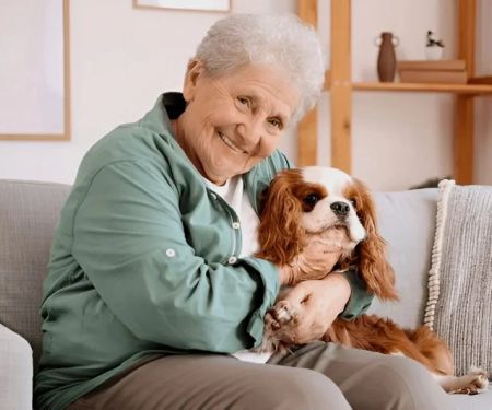 How to Keep Aging Pets Comfortable at Home
