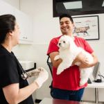 Raw Diet for Dogs: Benefits, Risks & Best Practices