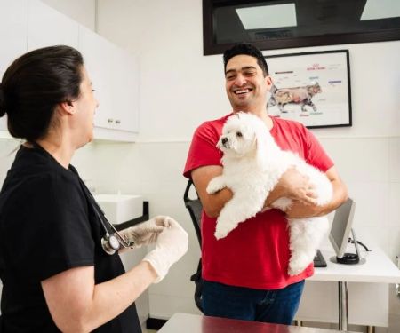 Raw Diet for Dogs: Benefits, Risks & Best Practices