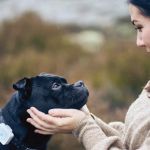 How IoT Devices Are Helping Pet Owners Stay Informed