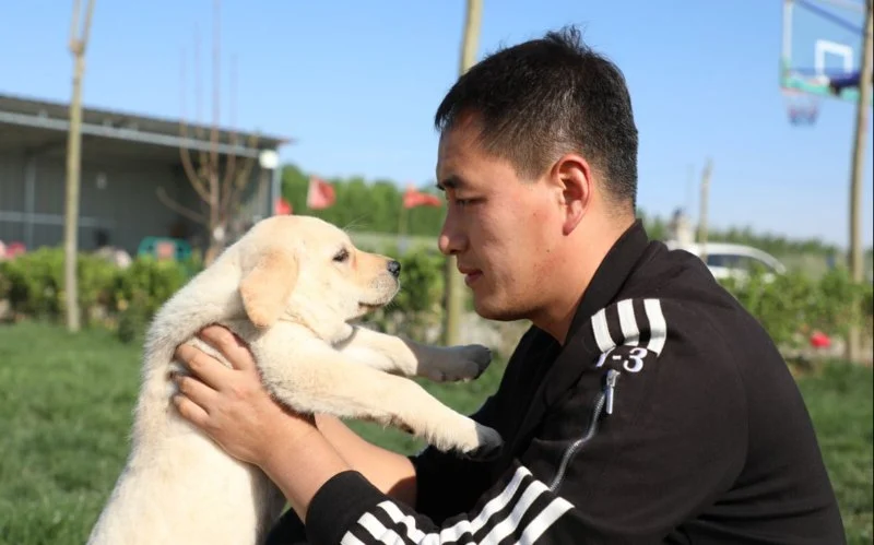 Using Reward Schedules in Long-Term Training for Effective Learning