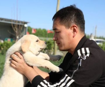 Using Reward Schedules in Long-Term Training for Effective Learning