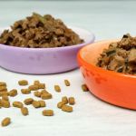 Choosing Wet vs Dry Food: When Each Is Best