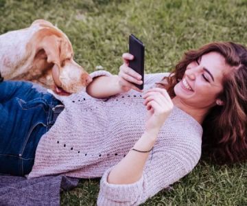 Best Ways to Capture Pet Photos & Videos at Home