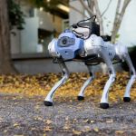 Drones & Robotics in Pet Care: What’s Possible Now