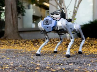 Drones & Robotics in Pet Care: What’s Possible Now