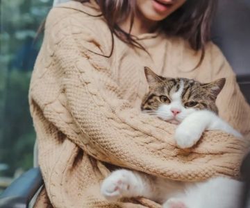 Why Do Cats Get Kidney Stones? Causes, Symptoms & Diet Strategies