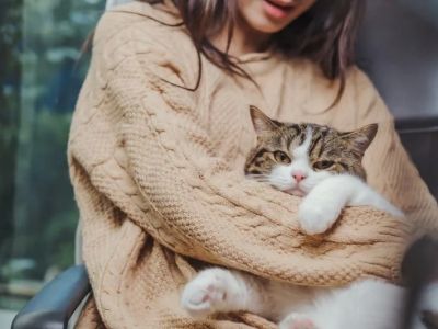 Why Do Cats Get Kidney Stones? Causes, Symptoms & Diet Strategies