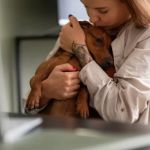 Remote Monitoring of Chronic Illness in Pets: A New Era of Pet Care