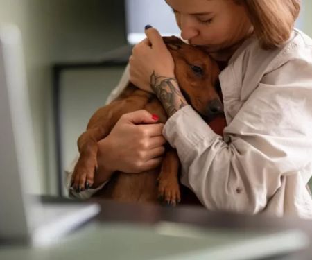 Remote Monitoring of Chronic Illness in Pets: A New Era of Pet Care