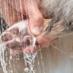 How to Check & Clean Your Pet’s Paws After Outdoor Walks