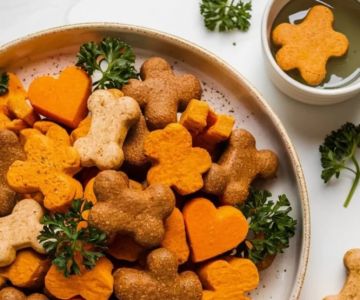 Best Dog Treat Recipes for Balanced Nutrition | Healthy Treats for Your Pet