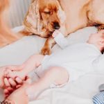 Tips for Helping Your Dog Adjust to a New Baby
