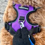 Best Dog Harnesses for Small Breeds: Comfort and Style for Your Pup
