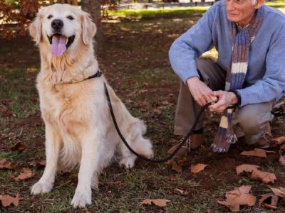 How to Keep Senior Dogs Active and Healthy