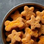 Safe and Healthy Homemade Dog Treat Recipes