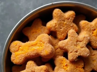 Safe and Healthy Homemade Dog Treat Recipes