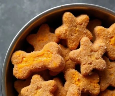 Safe and Healthy Homemade Dog Treat Recipes