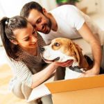 How to Help Dogs With Stress From Moving