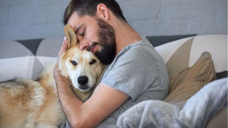 How to Help Dogs With PTSD-Like Behavior