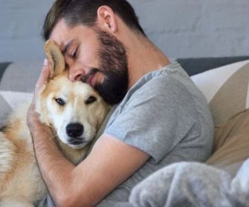 How to Help Dogs With PTSD-Like Behavior