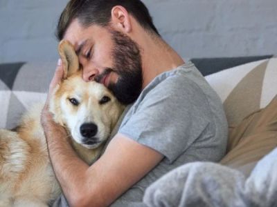 How to Help Dogs With PTSD-Like Behavior