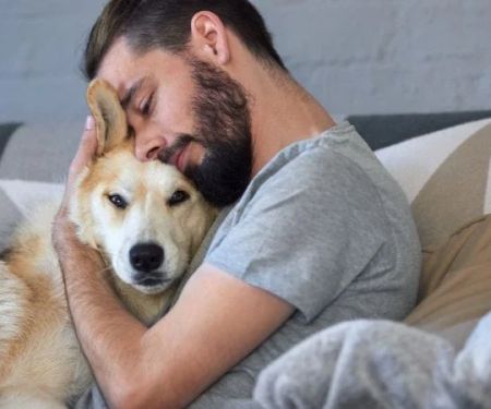 How to Help Dogs With PTSD-Like Behavior