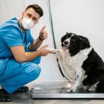 How to Help Your Dog Lose Weight Safely