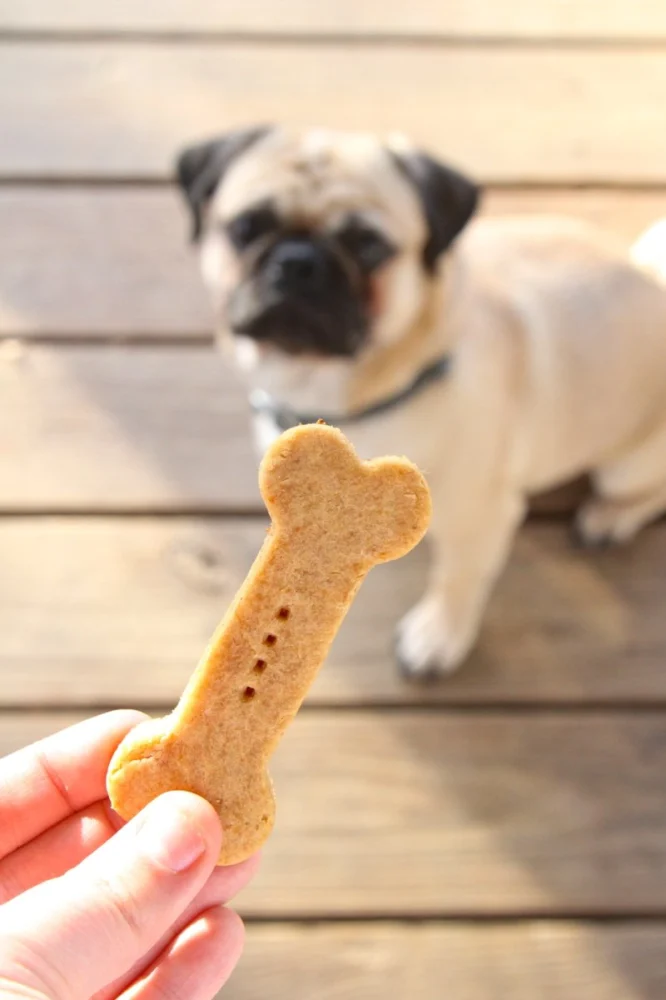 Best Dog Treat Recipes for Balanced Nutrition: Healthy and Tasty Ideas