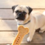 Best Dog Treat Recipes for Balanced Nutrition: Healthy and Tasty Ideas
