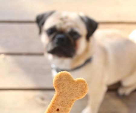 Best Dog Treat Recipes for Balanced Nutrition: Healthy and Tasty Ideas
