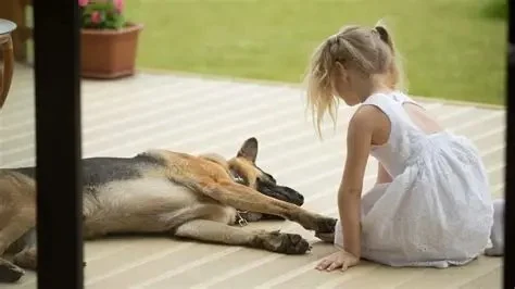 How to Teach Your Dog to Be Calm Around Kids: Practical Tips and Techniques