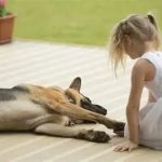 How to Teach Your Dog to Be Calm Around Kids: Practical Tips and Techniques