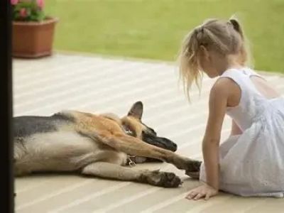 How to Teach Your Dog to Be Calm Around Kids: Practical Tips and Techniques