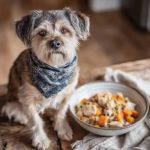 Best Dog Foods for Small Breed Adult Dogs: Top Choices for Health and Wellness