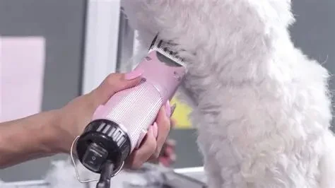 The Best Dog Grooming Clippers for At‑Home Grooming