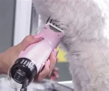 The Best Dog Grooming Clippers for At‑Home Grooming