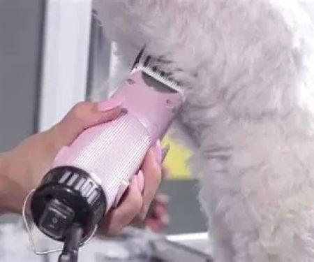 The Best Dog Grooming Clippers for At‑Home Grooming