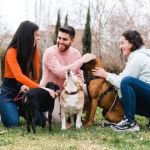 How to Socialize Your Puppy With Other Dogs Effectively