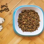 Best Dog Foods for Sensitive Skin and Allergies | Pet & Puppy