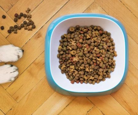 Best Dog Foods for Sensitive Skin and Allergies | Pet & Puppy
