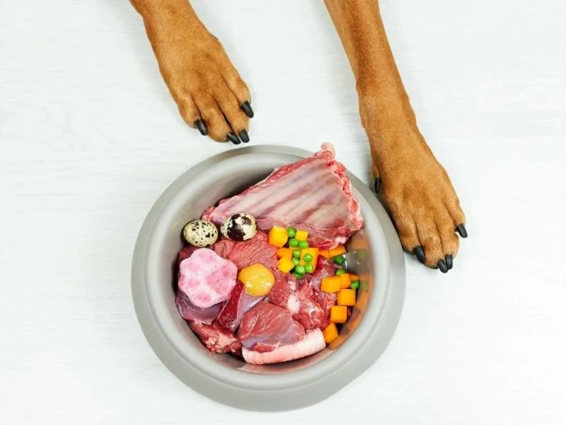 Best Dog Foods for Allergies and Sensitive Skin: Expert Recommendations