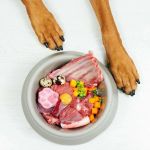 Best Dog Foods for Allergies and Sensitive Skin: Expert Recommendations