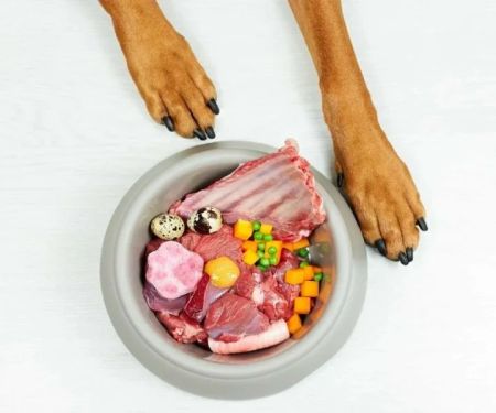 Best Dog Foods for Allergies and Sensitive Skin: Expert Recommendations