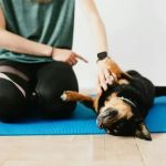 How to Train Dogs to Stay Calm in Busy Environments