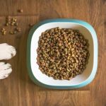 The Truth About Grain-Free Dog Food: Pros and Cons Explained