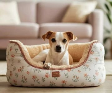 How to Choose the Right Dog Bed for Your Pup: Complete Buying Guide