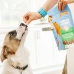 Best Vet-Recommended Dog Foods for All Ages: Complete Feeding Guide
